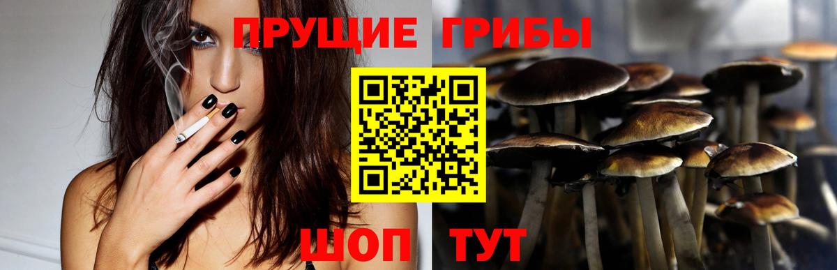 Псилоцибиновые грибы прущие грибы  Псилоцибиновые грибы ЛСД  Вход с VPN  Краснокамск 